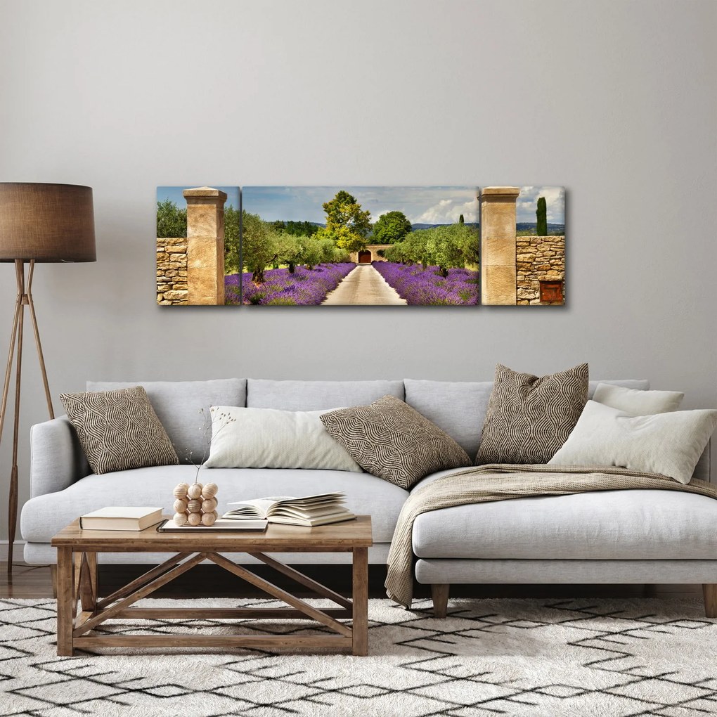 Obraz - Lawendowe ścieżki (170x50 cm)