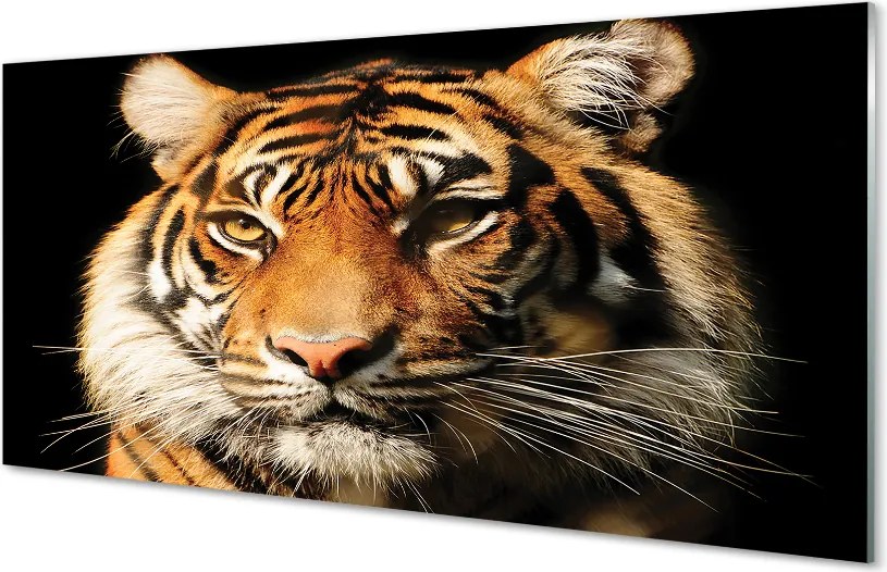 Panel szklany do Kuchni Skradający się Drapieżnik