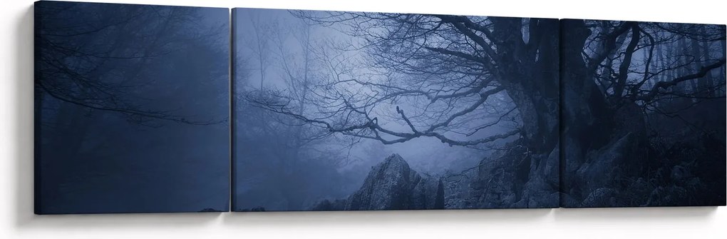 Obraz ciemnego lasu (170x50 cm)