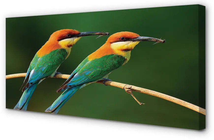 Zdjęcie na płótnie Kolorowe Papugi na Gałęzi