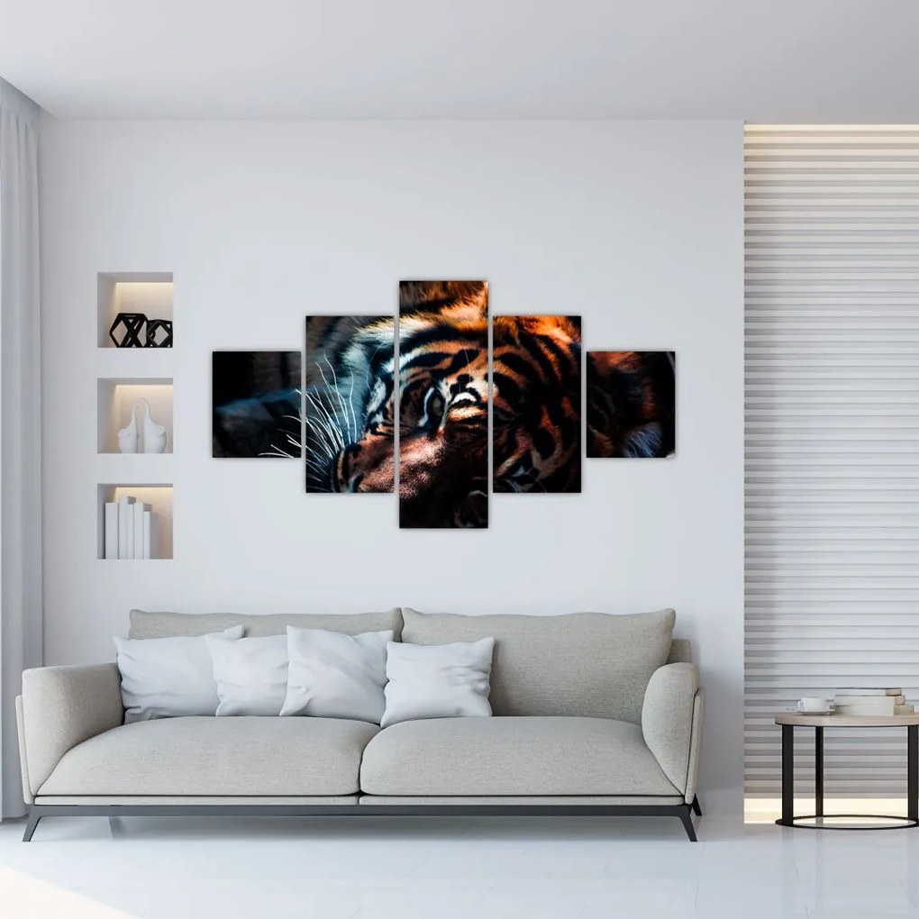 Obraz leżącego tygrysa (125x70 cm)
