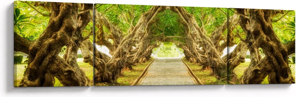 Obraz - Żywy tunel plumerii (170x50 cm)