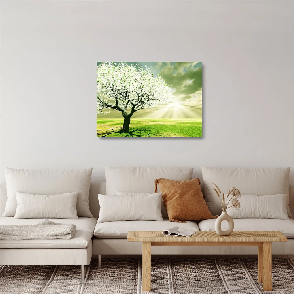 Obraz na szkle - kwitnące drzewo (70x50 cm)