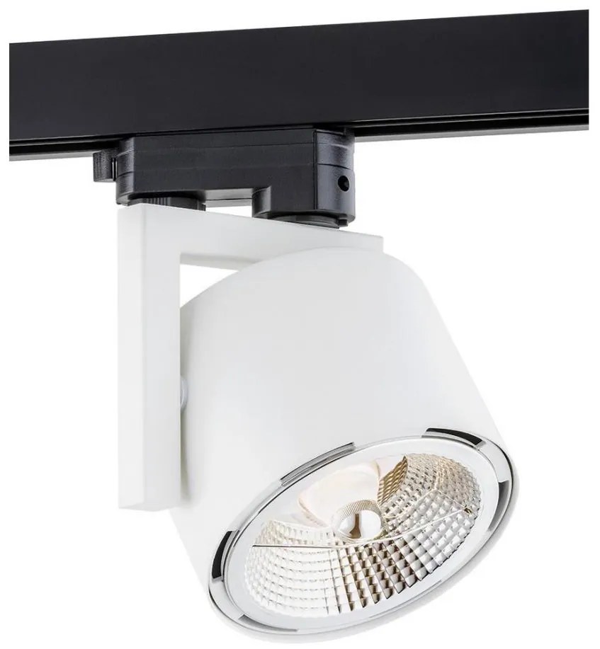 Argon 4750 - Oprawa punktowa ALTO 1xGU10-AR111/12W/230V biała