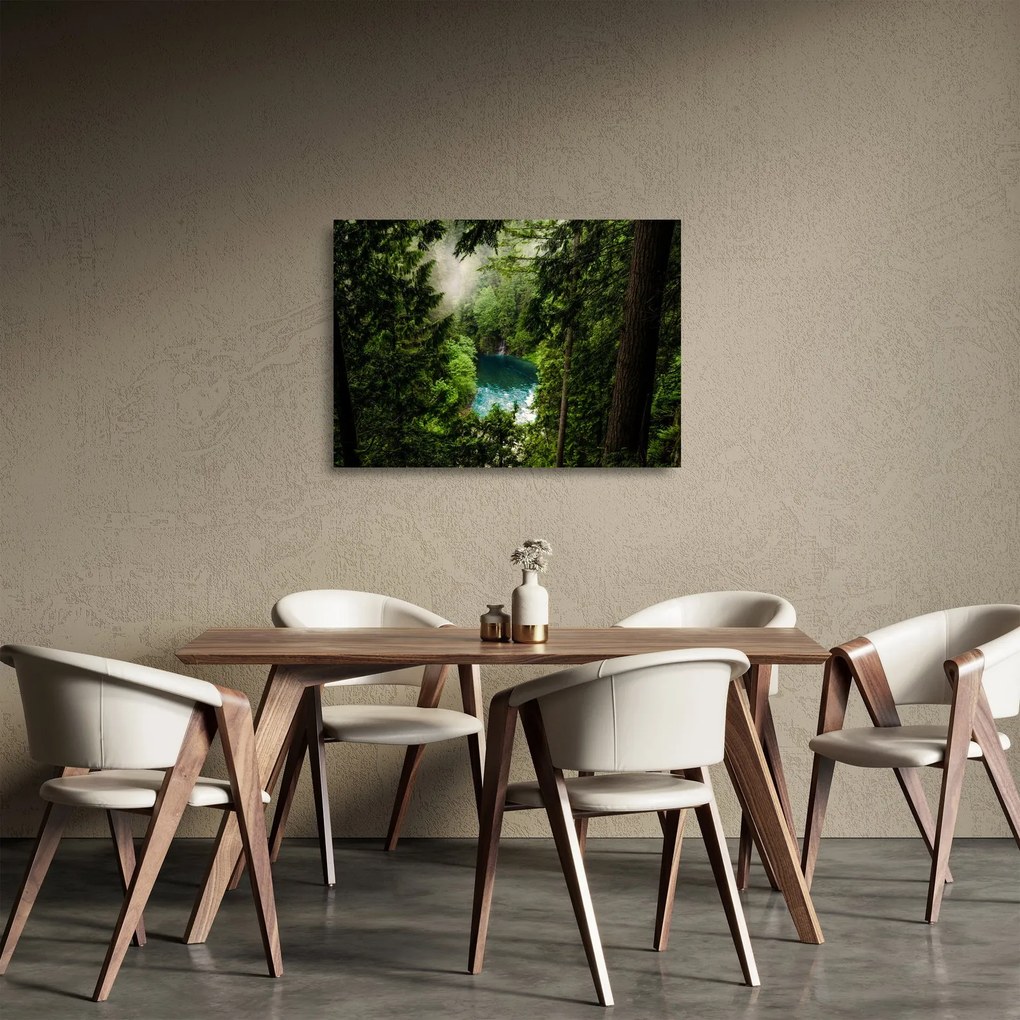 Obraz na szkle - Przestrzeń między drzewami (70x50 cm)