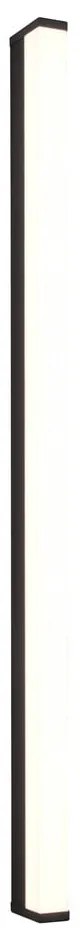 Kinkiet LED w kolorze matowej czerni (dł. 120 cm) Fabio – Trio