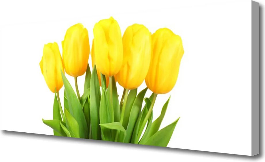 Duży obraz na płótnie Tulipany w Porannym Słońcu