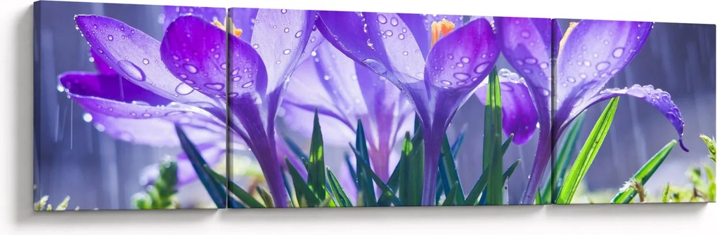 Obraz kwiatów w deszczu (170x50 cm)