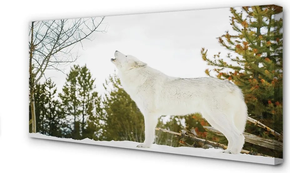 Obraz drukowany na płótnie Wilk w Zimowym Lesie