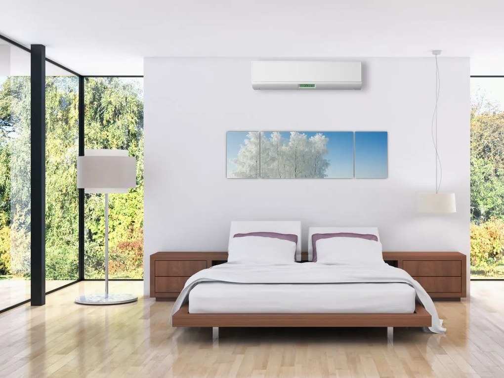 Obraz zaśnieżonego krajobrazu (170x50 cm)