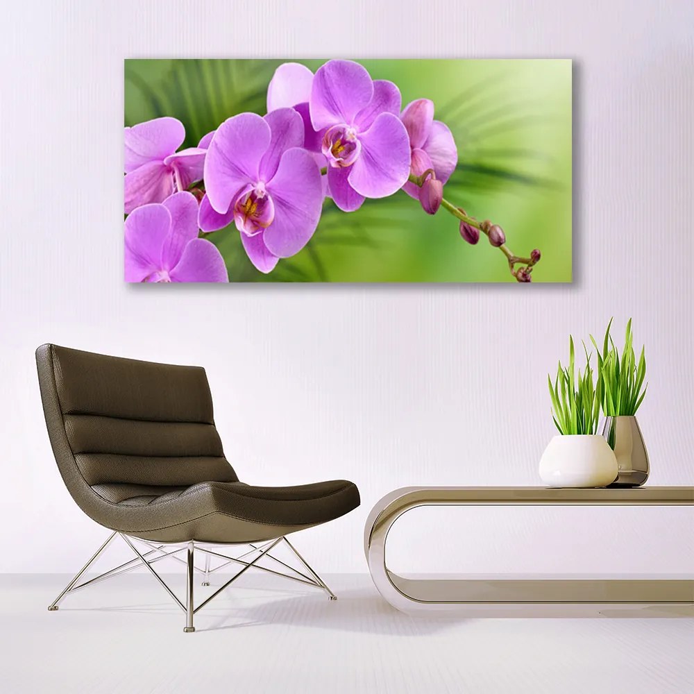 Obraz Canvas Storczyk Orchidea Kwiaty