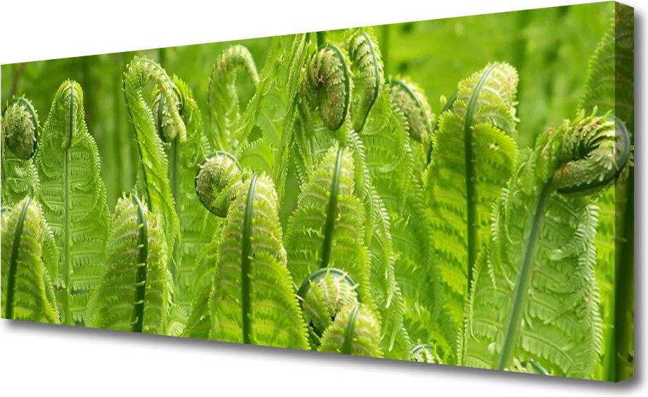 Obraz canvas Świeżość Zielonych Liści