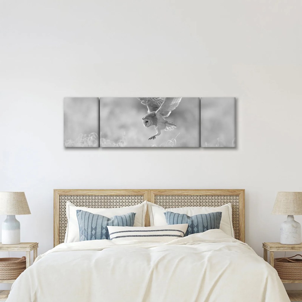 Obraz - Sowa, czarno - biały (170x50 cm)