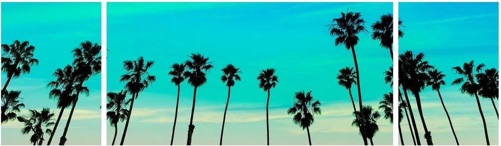Obraz - Kalifornia (170x50 cm)