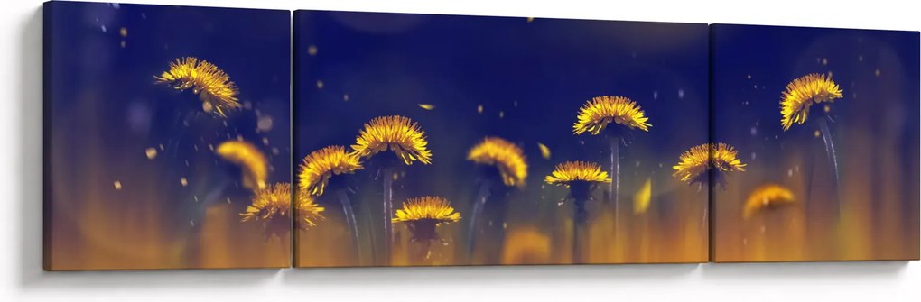 Obraz - Dmuchawce (170x50 cm)