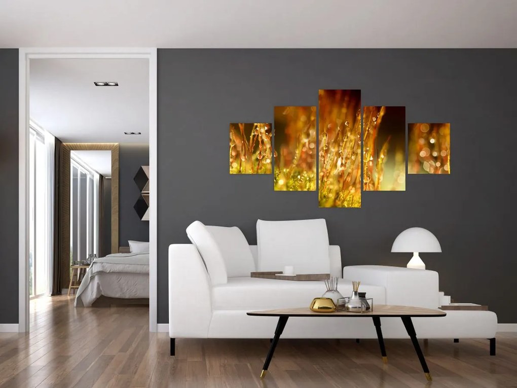Obraz - Szczegół rosy (125x70 cm)