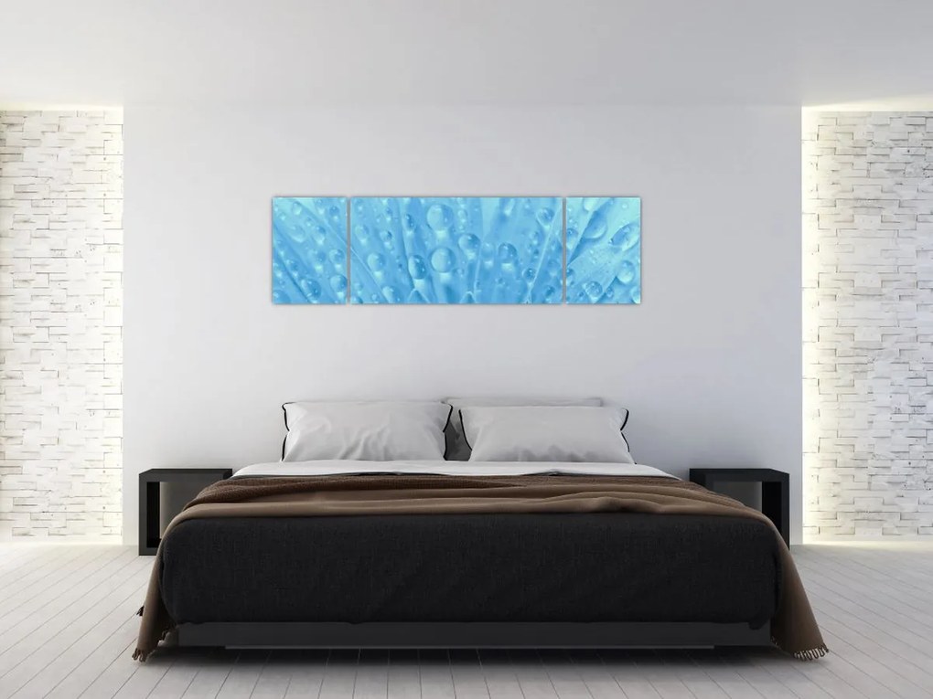 Obraz - Ujęcie makro kwiatu (170x50 cm)