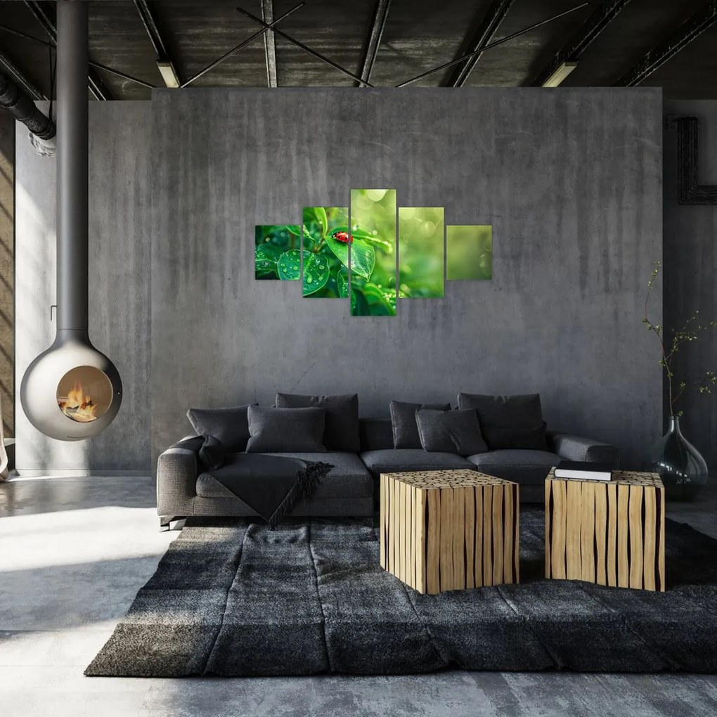 Obraz - Biedronka (125x70 cm)