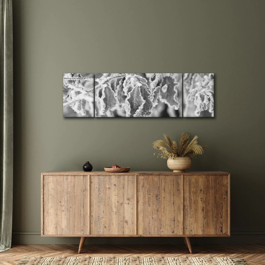 Obraz - Zmarznięte liście, czarno - biały (170x50 cm)