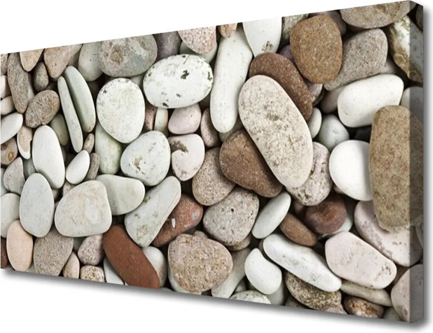 Obraz canvas Panorama Paryża z Wieżą Eiffla