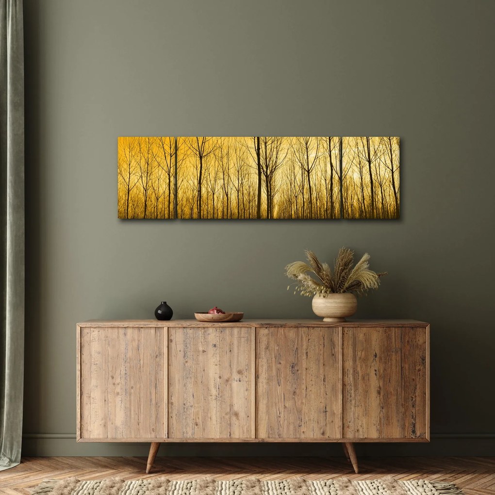 Obraz - Plantacja drzew (170x50 cm)