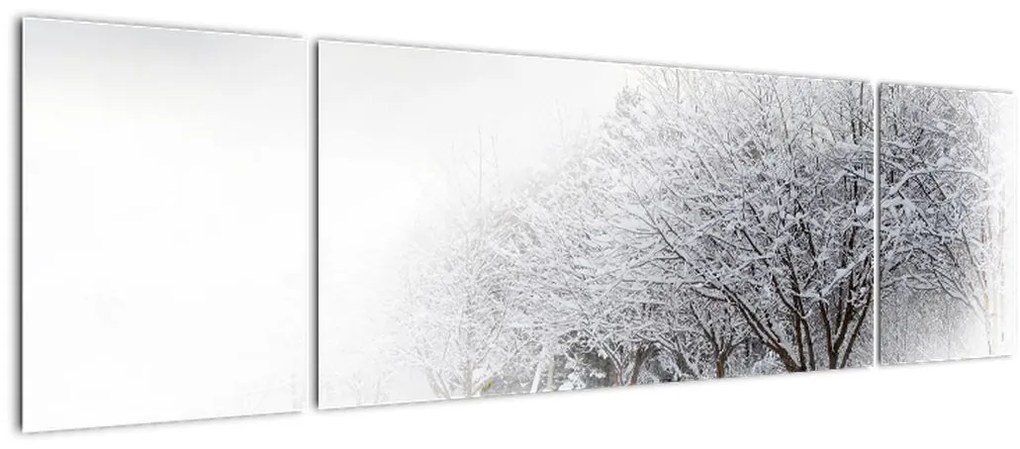 Obraz - Zimowa aleja (170x50 cm)