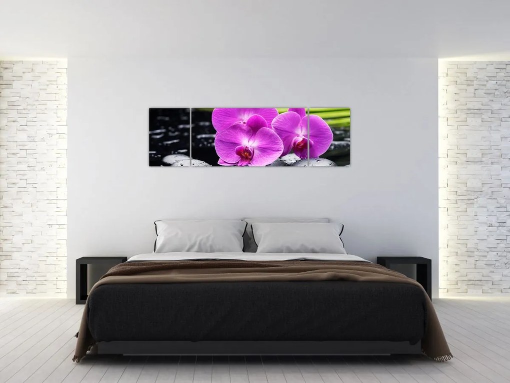 Obraz - Storczyki (170x50 cm)