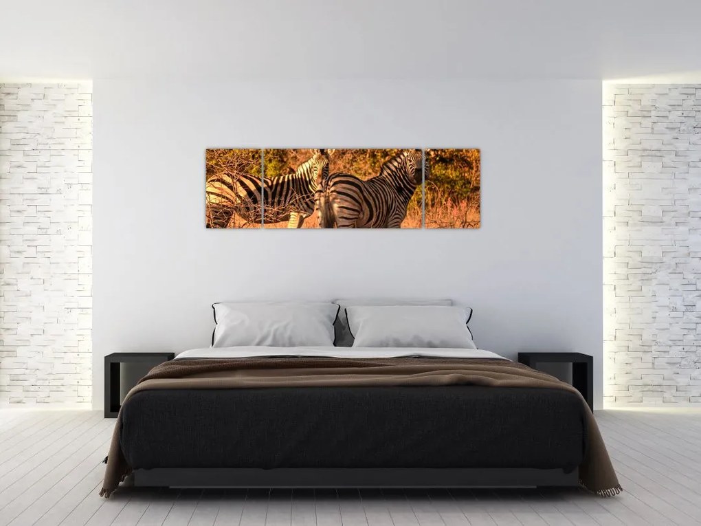 Obraz zebr (170x50 cm)