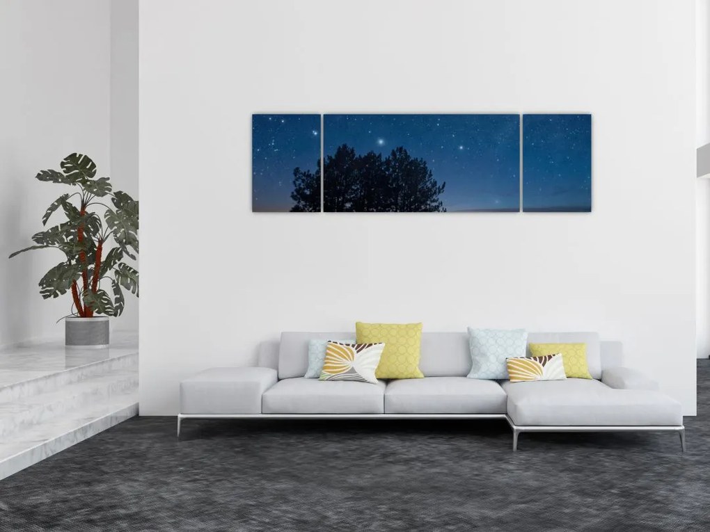 Obraz drzew w nocy (170x50 cm)