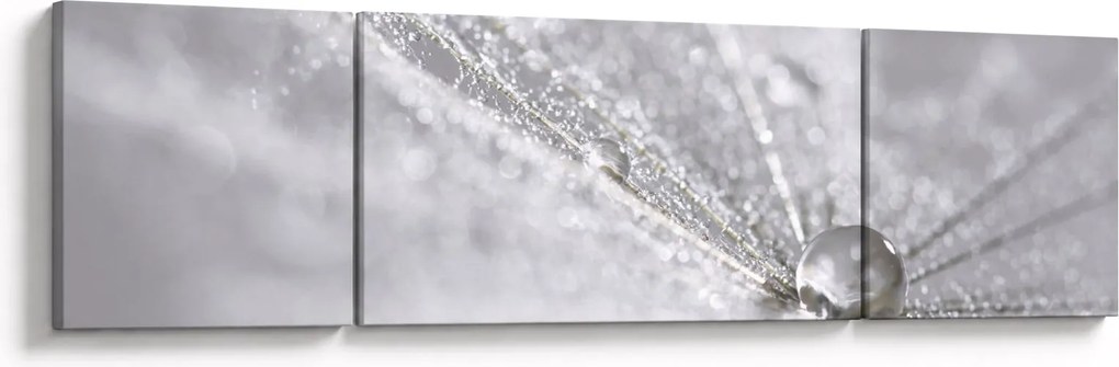 Obraz - Kropla wody (170x50 cm)