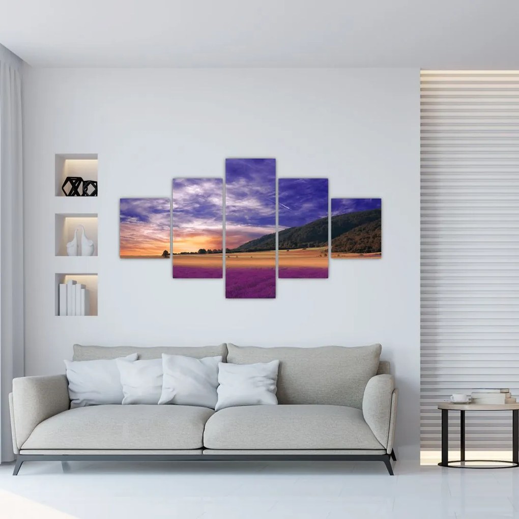 Obraz lawendowej łąki (125x70 cm)