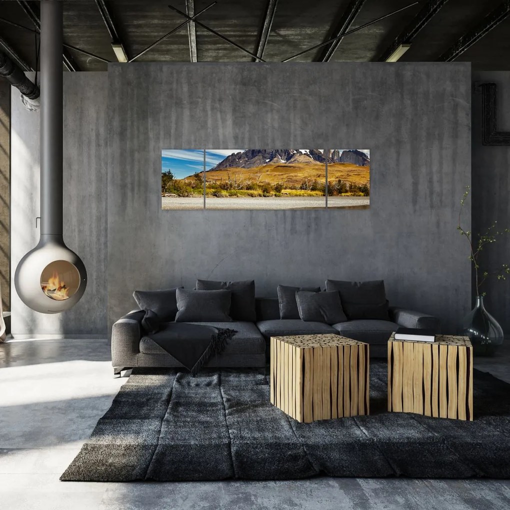 Obraz - Park Narodowy Torres del Paine (170x50 cm)