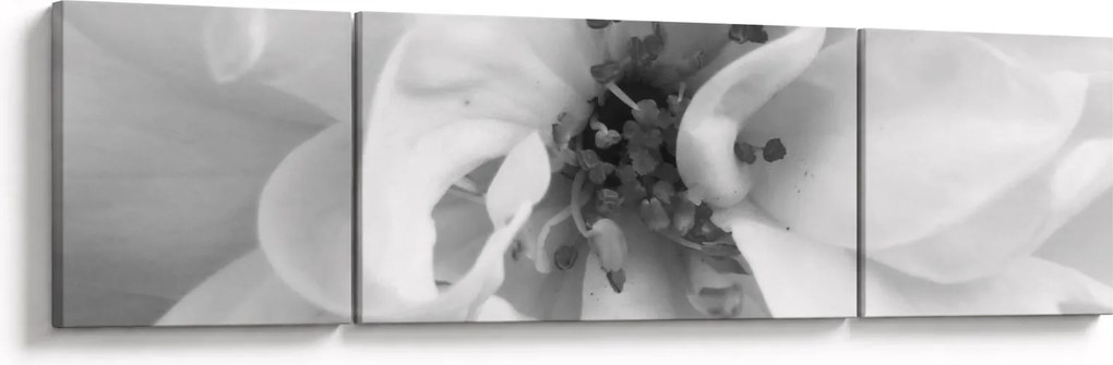 Obraz - Kwiat, czarno - biały (170x50 cm)