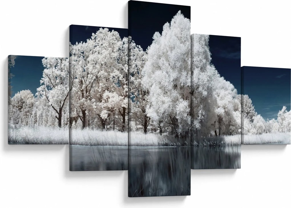 Obraz - Śnieżnobiałe drzewa (125x70 cm)