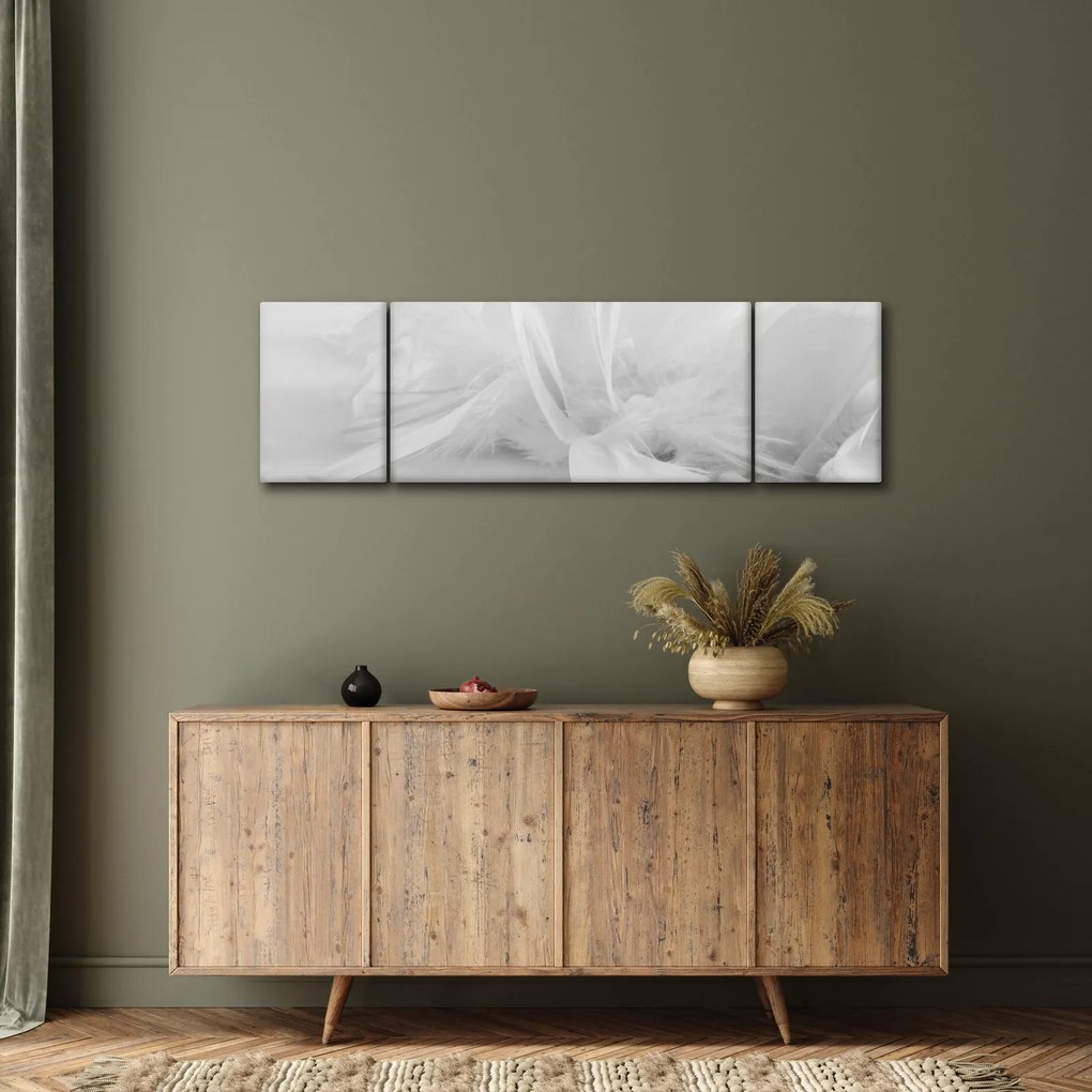 Obraz - Pióra (170x50 cm)