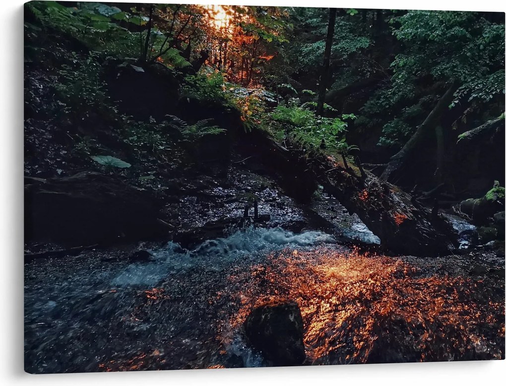 Obraz górskiej rzeki (70x50 cm)