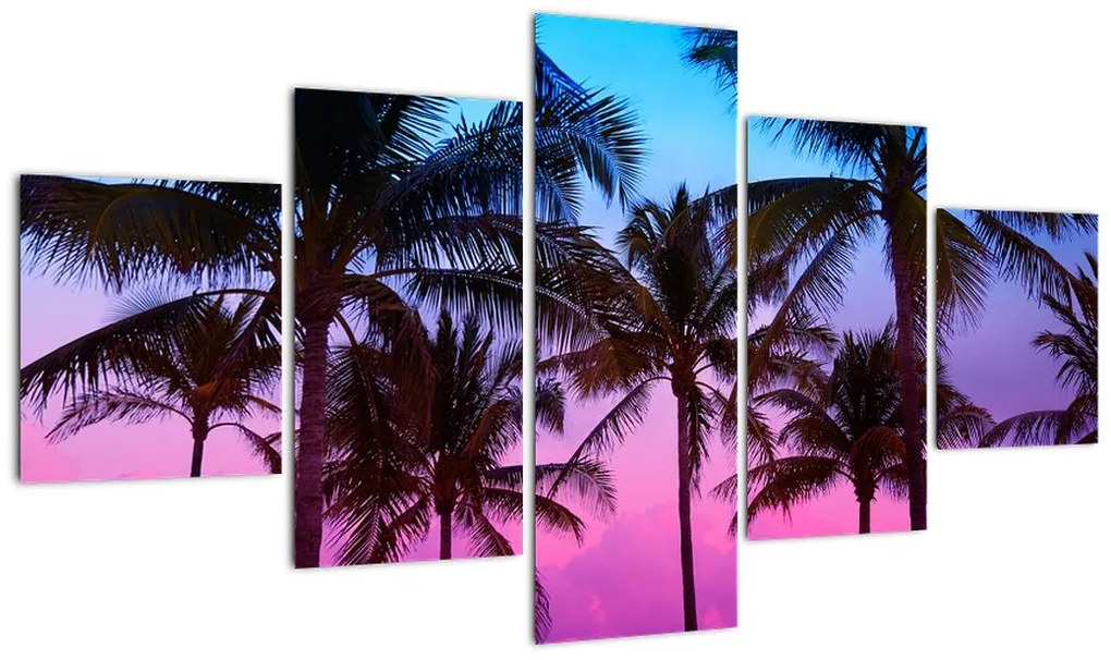 Obraz - Palmy w Miami (125x70 cm)