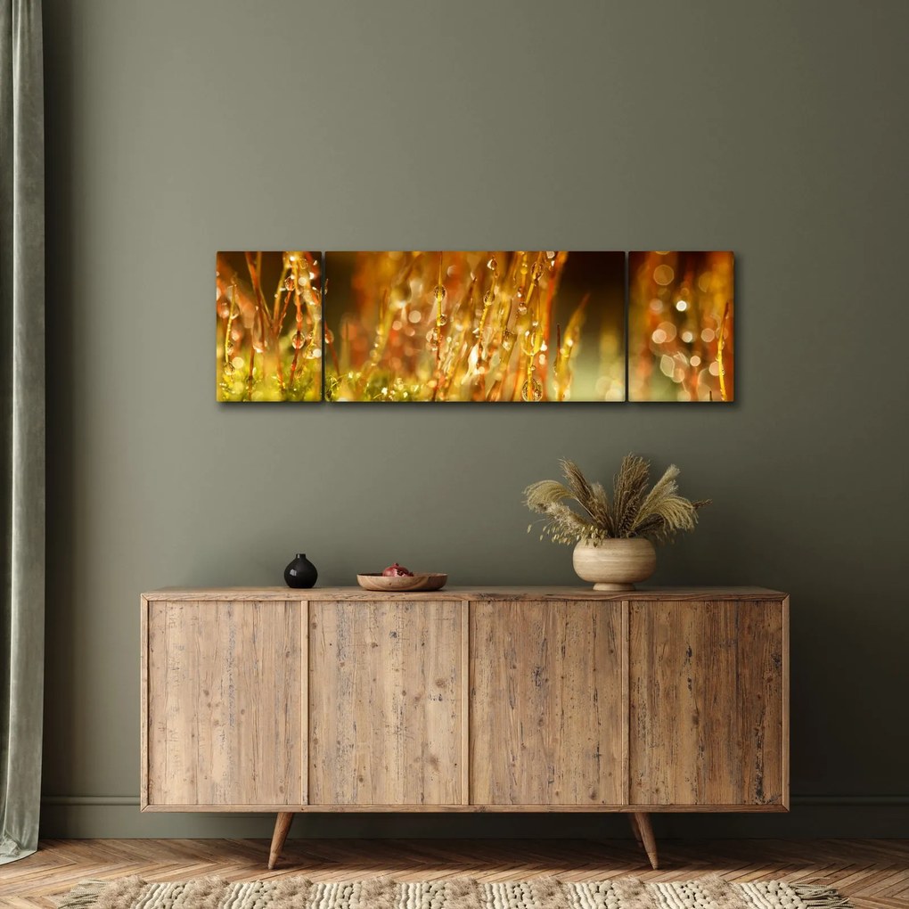 Obraz - Szczegół rosy (170x50 cm)