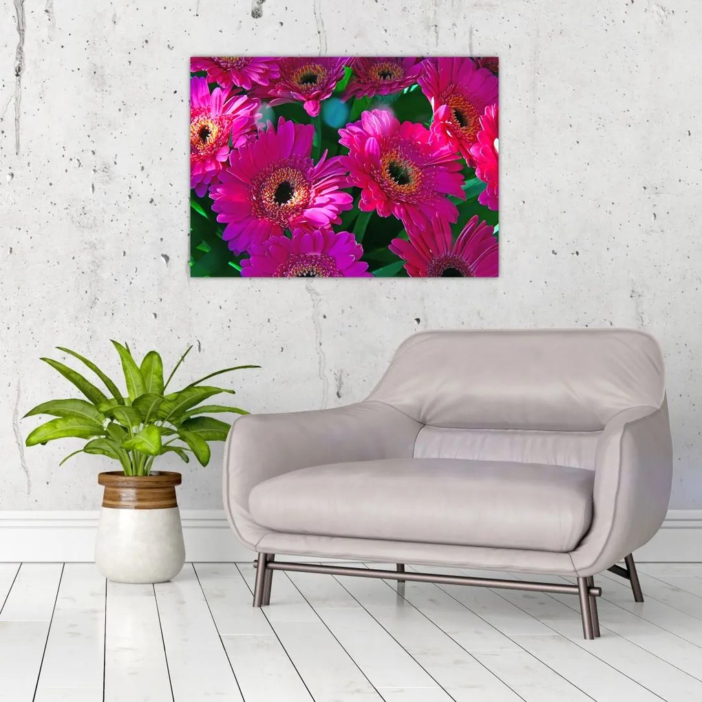 Obraz na szkle - kwiaty (70x50 cm)