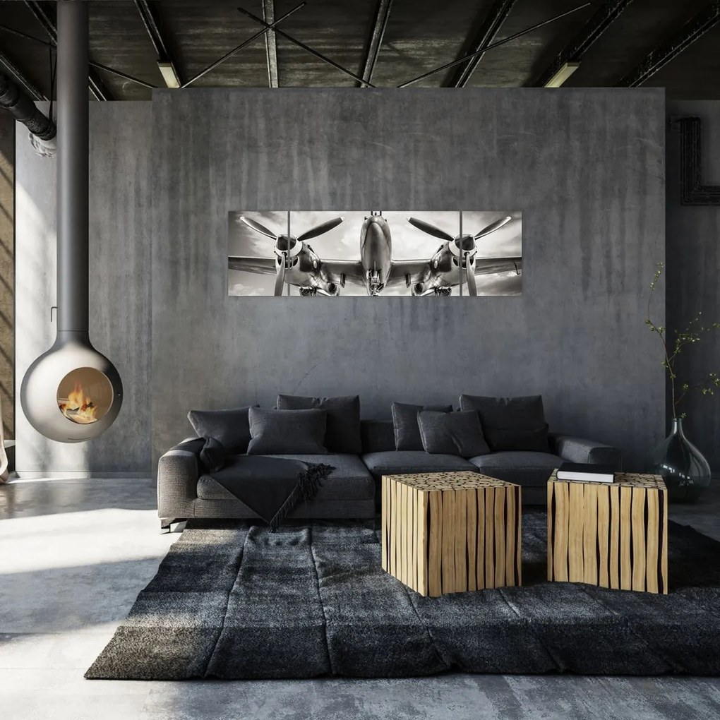 Obraz - Warbird (170x50 cm)