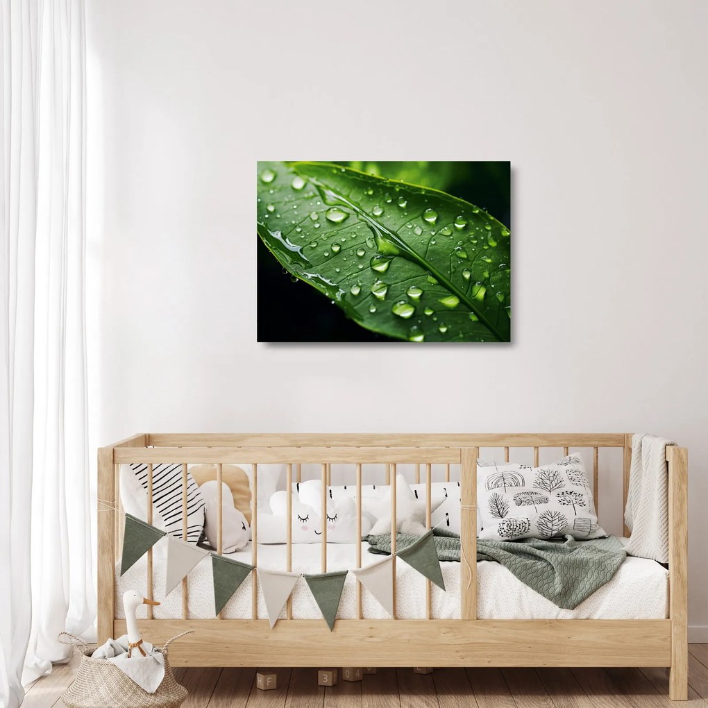 Obraz na szkle - Liść po deszczu (70x50 cm)