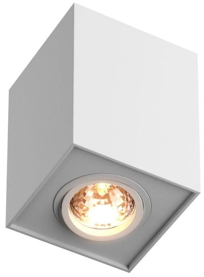 Zuma Line H-89200-WH - Oświetlenie punktowe QUADRO 1xGU10/50W/230V biały