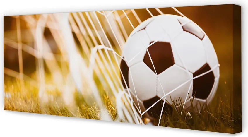 Obraz na płótnie Kontrastowy Futbol Na Murawie