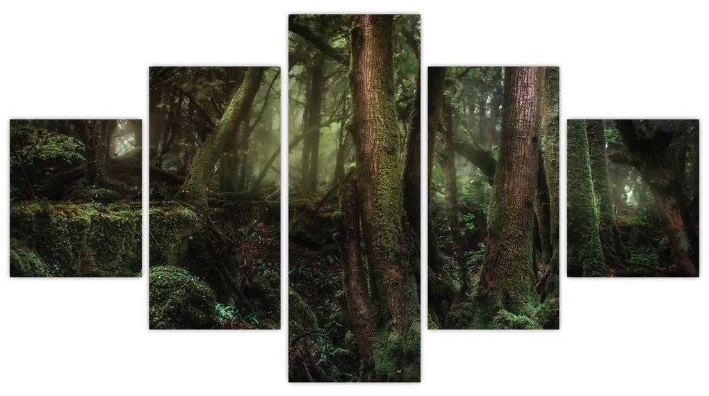 Obraz - Tajemniczy las (125x70 cm)