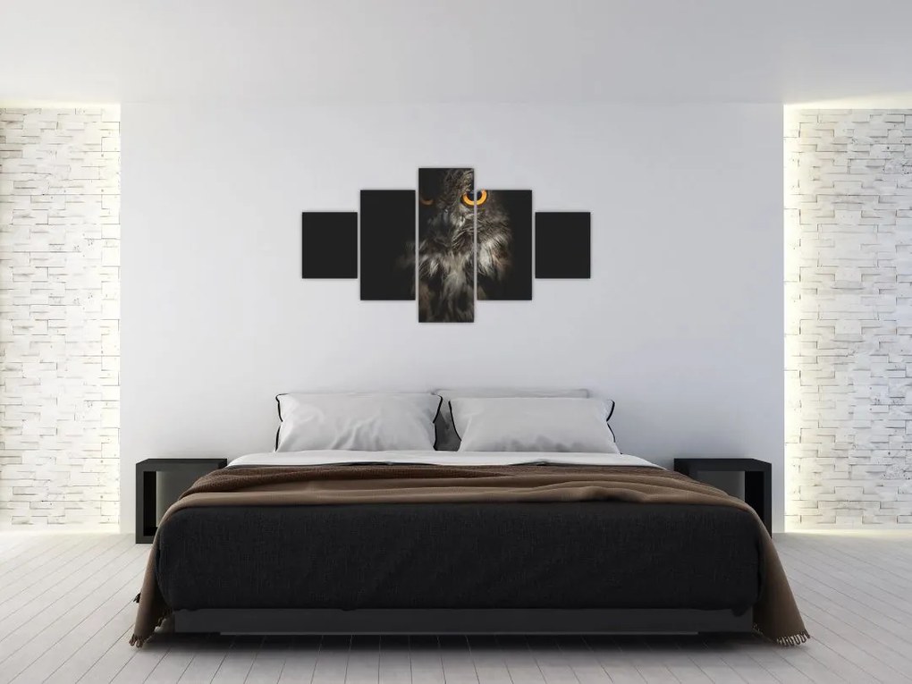 Obraz sowy (125x70 cm)
