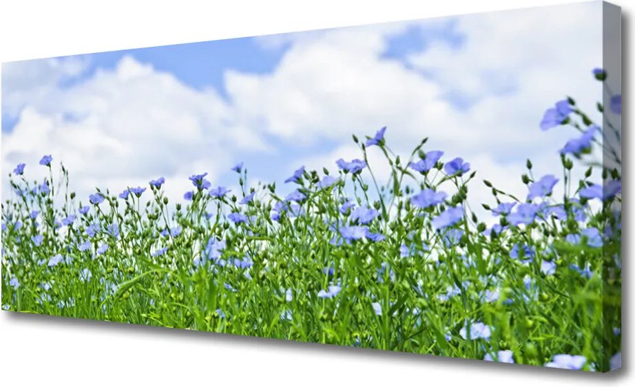 Obraz na płótnie Harmonijna Flora Ogrodowa