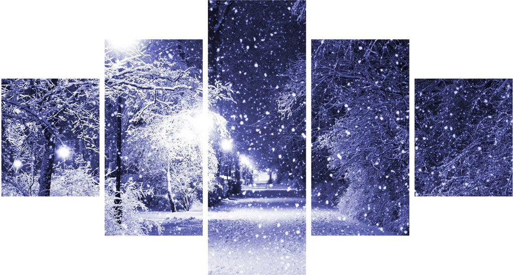 Obraz - Magiczna zimowa noc (125x70 cm)