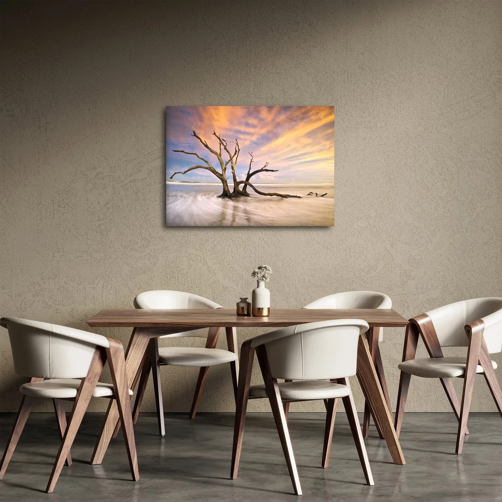 Obraz drzewa w oceanie (70x50 cm)