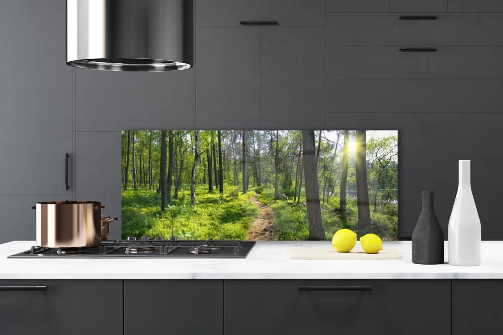 Panel Szklany Droga przez Dziki Las