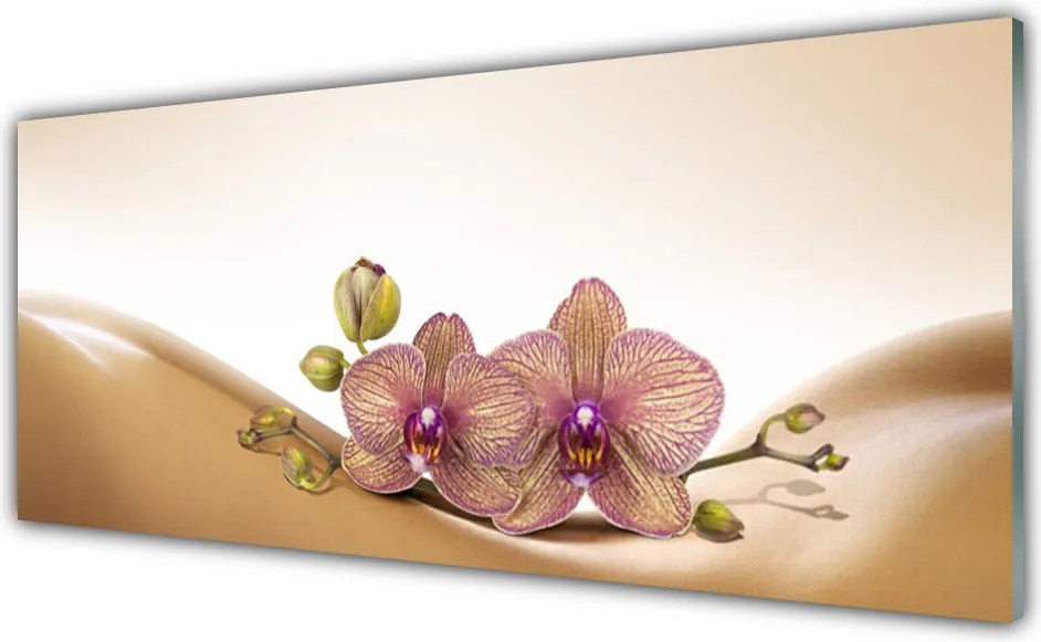 Panel Kuchenny Drzewa W Porannym Słońcu